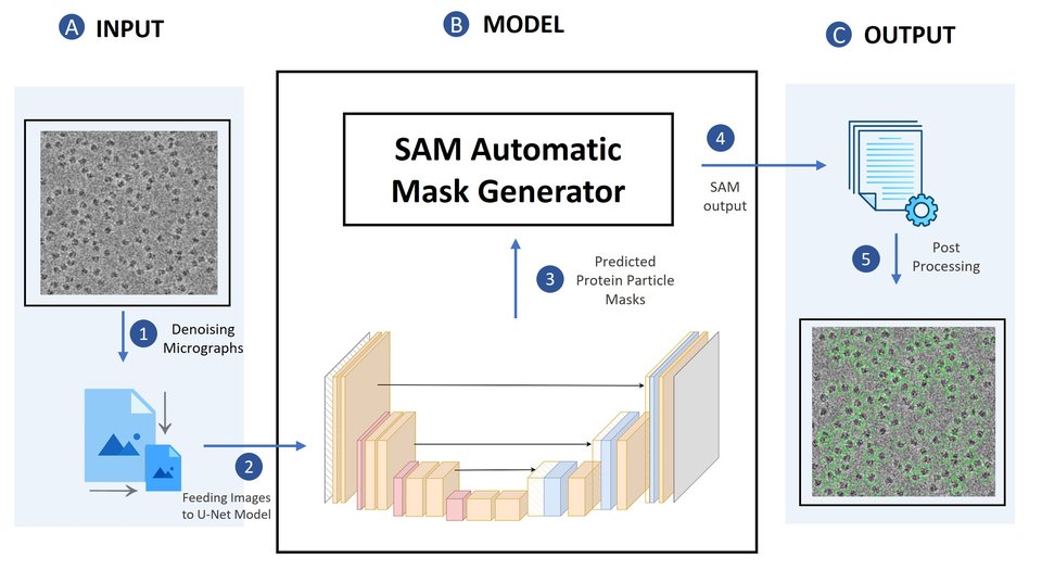 CryoSegNet pipeline: denoised micrographs feed an attention-gated U-Net whose predicted particle masks go to the SAM automatic mask generator; post-processing yields picked particles.