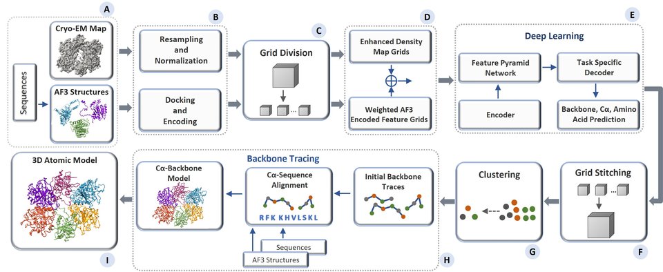 MICA workflow: cryo-EM map and AlphaFold3 structures are resampled, docked, and divided into grids; a deep learning encoder and task-specific decoder predict backbone, Cα, and amino acid types; grid stitching, clustering, backbone tracing, and co-sequence alignment produce the 3D atomic model.